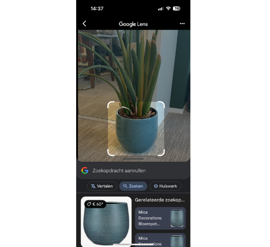 Voorbeeld van Google Lens