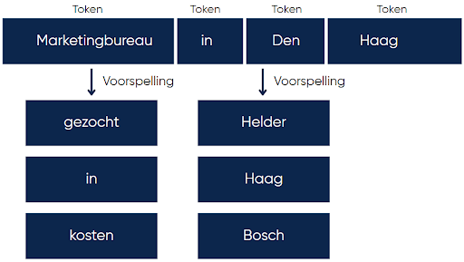 Large Language Models (LLM)